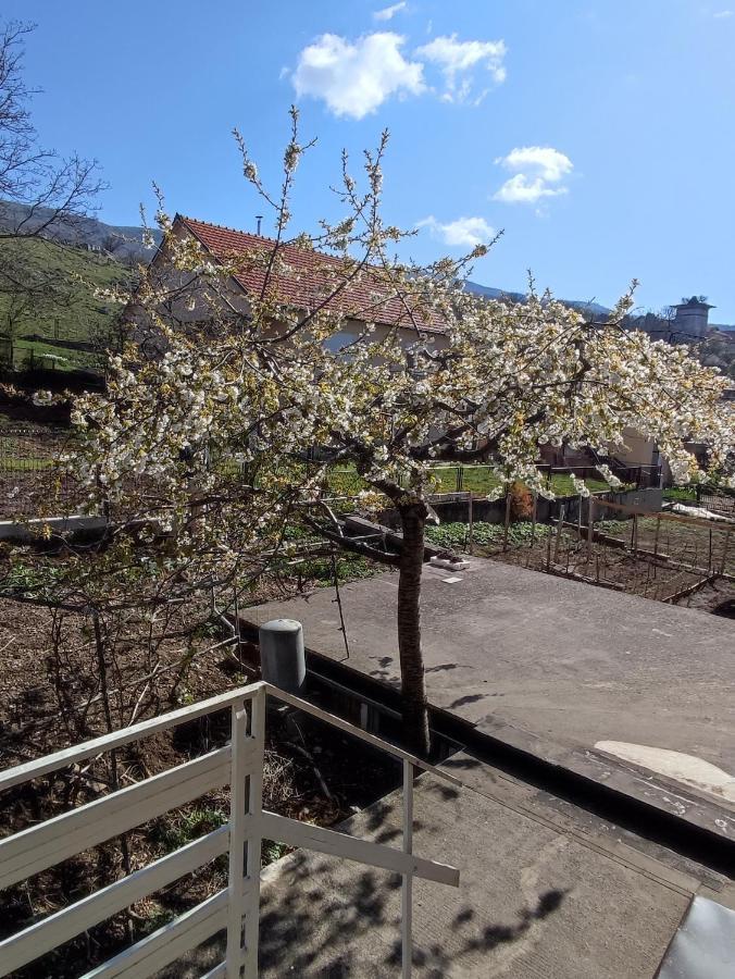 Apartman Bor Livno Luaran gambar