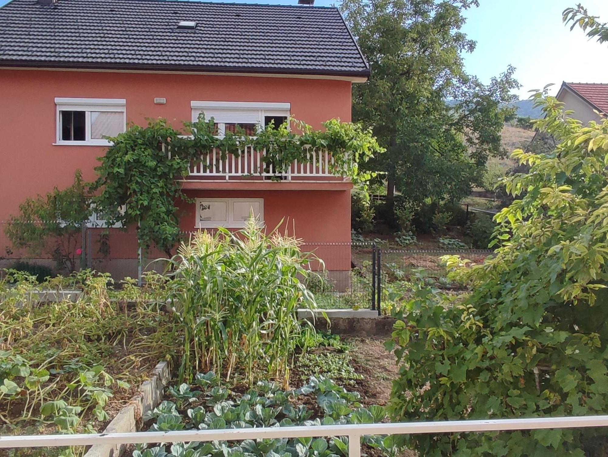Apartman Bor Livno Luaran gambar